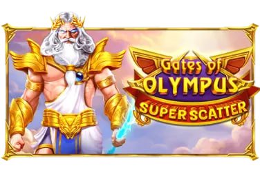 133 bet login